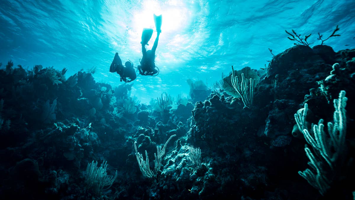 Booking excursions outside of your cruise line