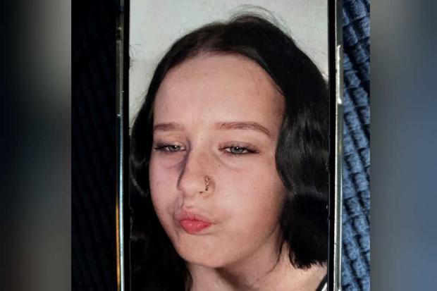 Police search launched for 'vulnerable' missing teenager
