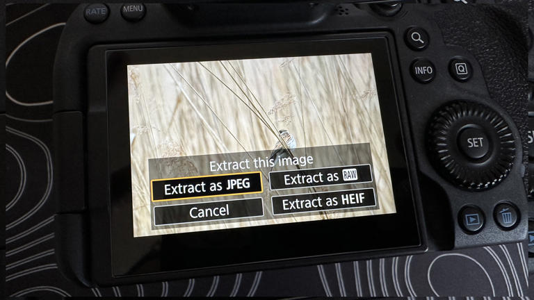 Pre-capture on my Canon EOS R6 Mark II camera is brilliant, but the ...