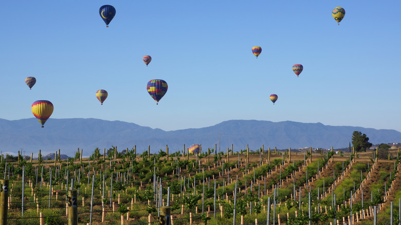 The most idyllic road trip through California wine country has hidden ...