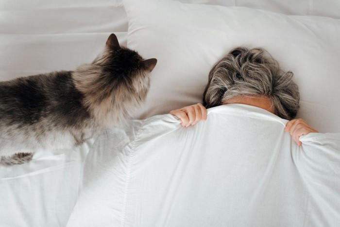 猫が『飼い主の枕』を使って寝たがる理由3つ 隠されている心理や上手な対処法もご紹介