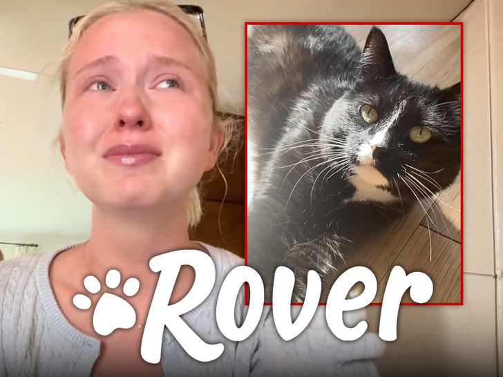 Viral cat tragedy prompts investigation, Rover denies connection to sitter