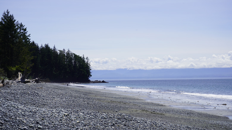 Forget Pacific Rim National Park Reserve: Visit this scenic island park ...