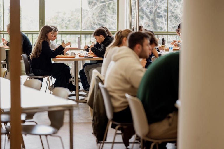 Phone bans are being rolled out in more American schools and have reportedly eased the problem somewhat, though students and experts say some bullying just shifts to other methods (AFP via Getty Images)