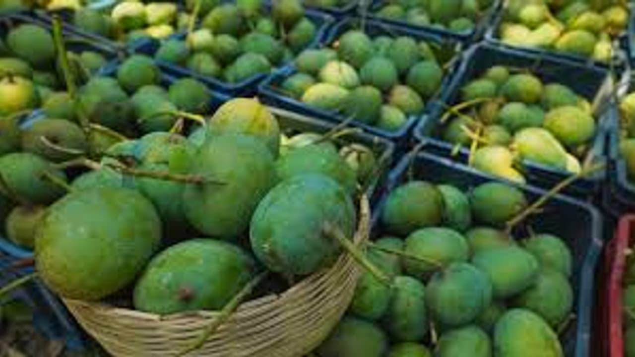Fresh mangoes delivered to your doorstep: Hopcoms and India Post launch ...