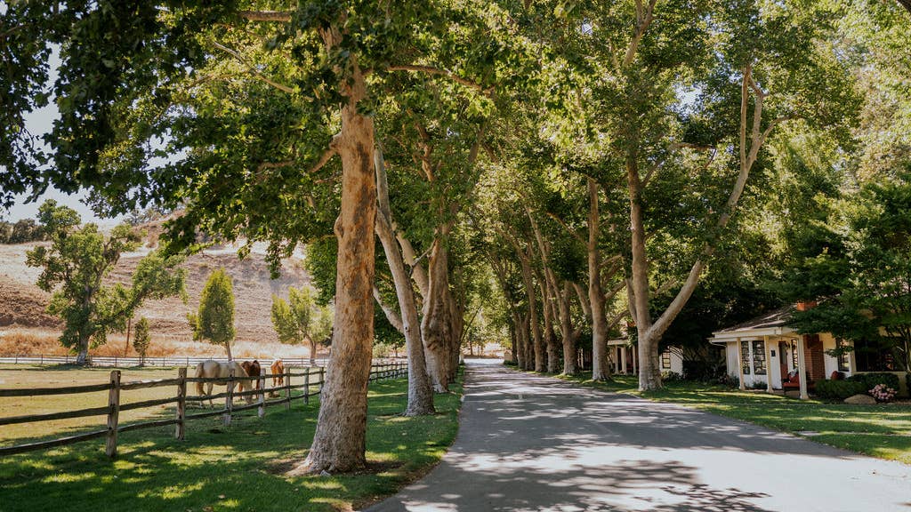 Discover Alisal Ranch: A family-friendly resort with golf, horseback ...