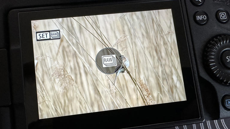 Pre-capture on my Canon EOS R6 Mark II camera is brilliant, but the ...
