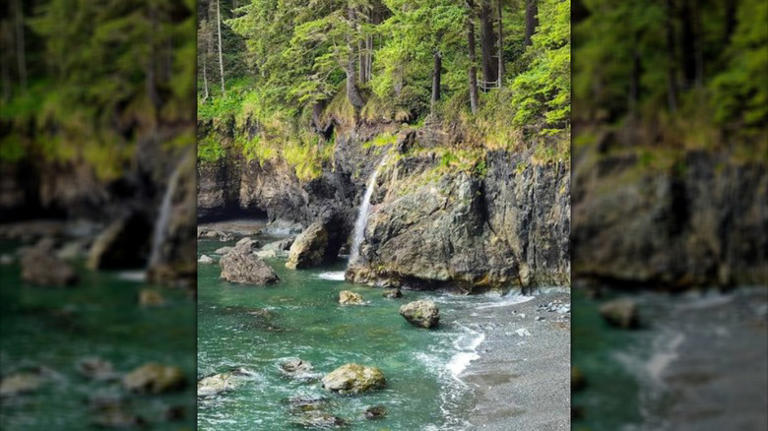Forget Pacific Rim National Park Reserve: Visit this scenic island park ...