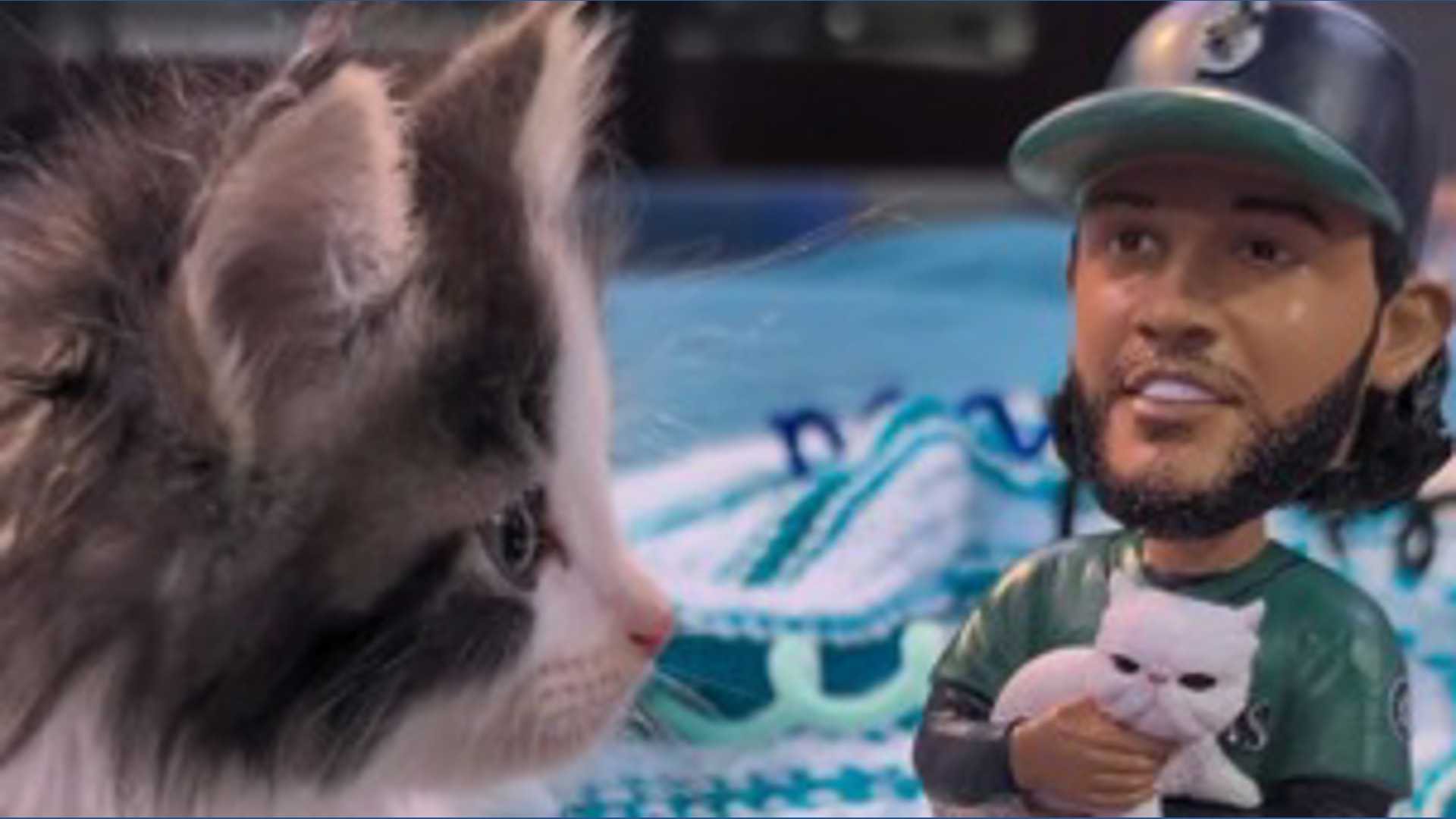 Fur real: Seattle’s 'cat dad' and star Mariners relief pitcher gets his ...