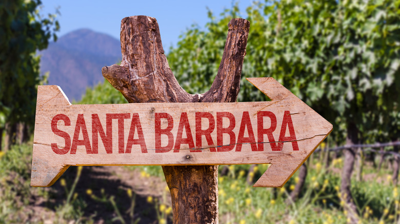 The most idyllic road trip through California wine country has hidden ...