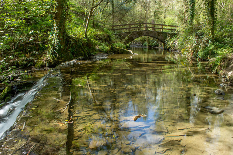 10 scenic walking trails in Ireland for your next family day out