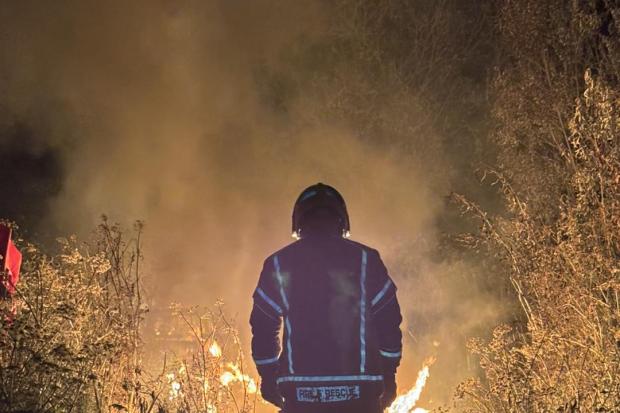 Fire at nature reserve severely damages walkway