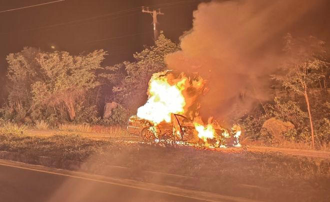 「野生ゾウと激突したタイの夜道」70代が死亡、車両は炎上した惨劇