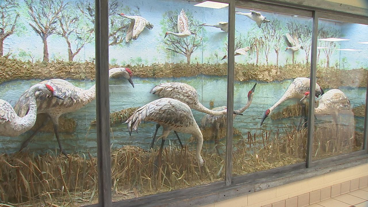 Aldo Leopold students show off new, large-scale art installation