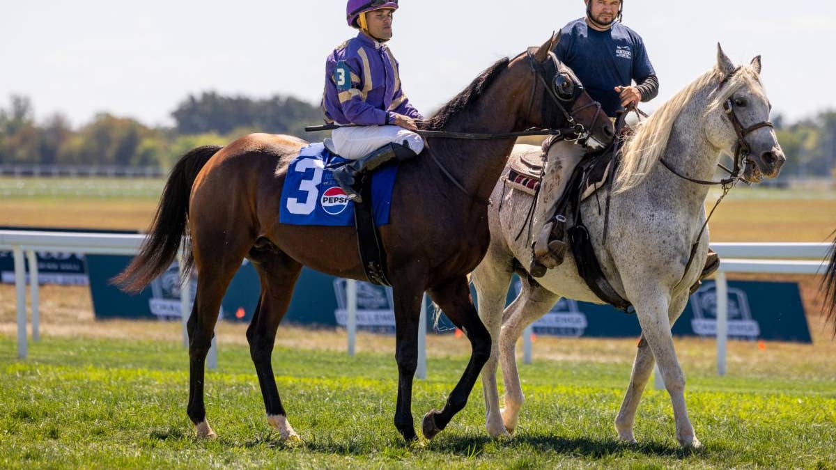Tawny Port, Corruption among eight to bid for Belmont Gold Cup, berth ...