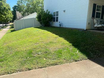 House with a small front yard on a sunny day, featuring a white exterior and minimal lawn furniture. Suitable for home improvement needs
