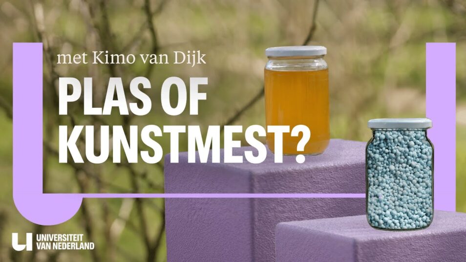 Bemesting met menselijke urine? Minder vies en slimmer dan je denkt