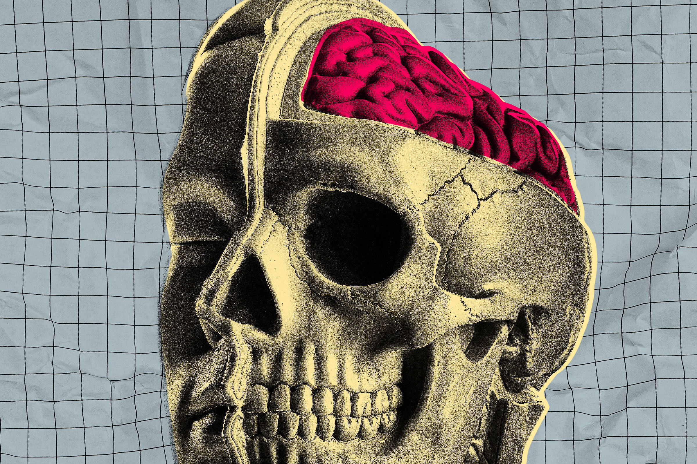 Startup testing drugs on freshly extracted human brains that are kept ...