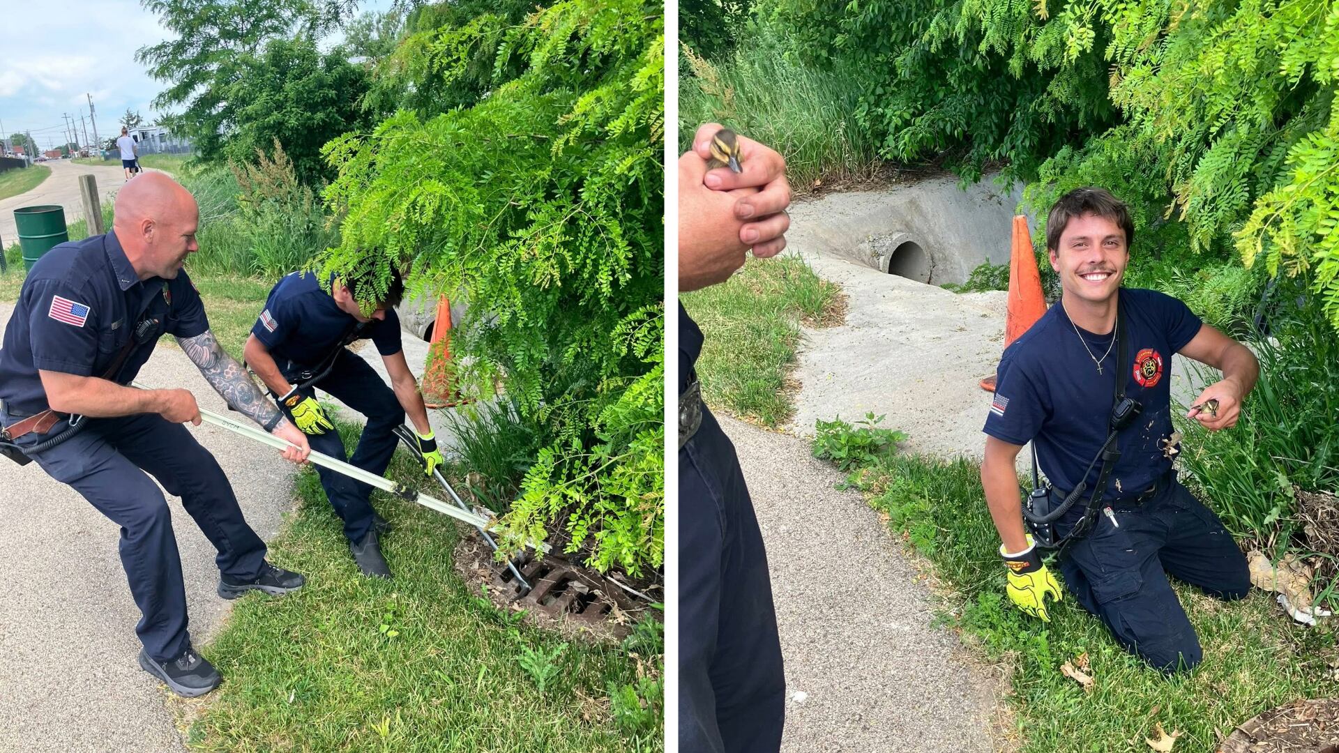Firefighters rescue family of ducklings from Sycamore storm drain