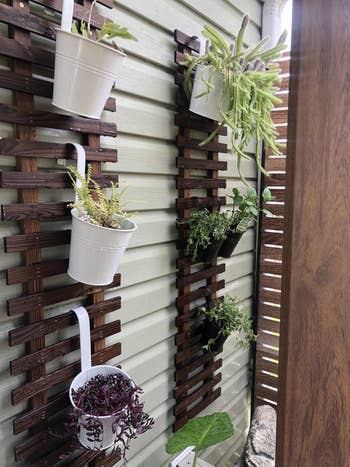 Vertical garden with various potted plants hanging on wooden trellises, attached to an exterior wall