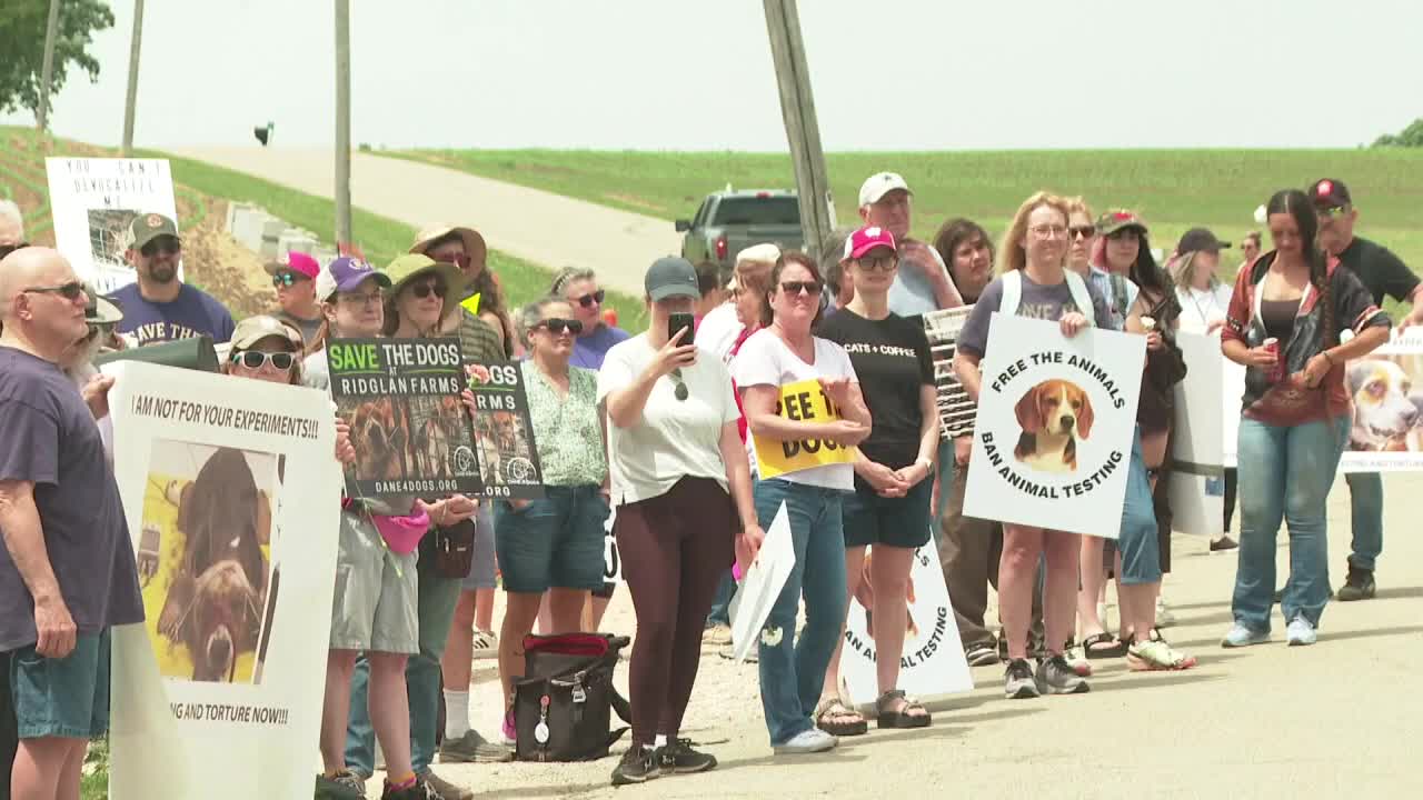 Ridglan Farms beagles: Protest calls for release of remaining dogs