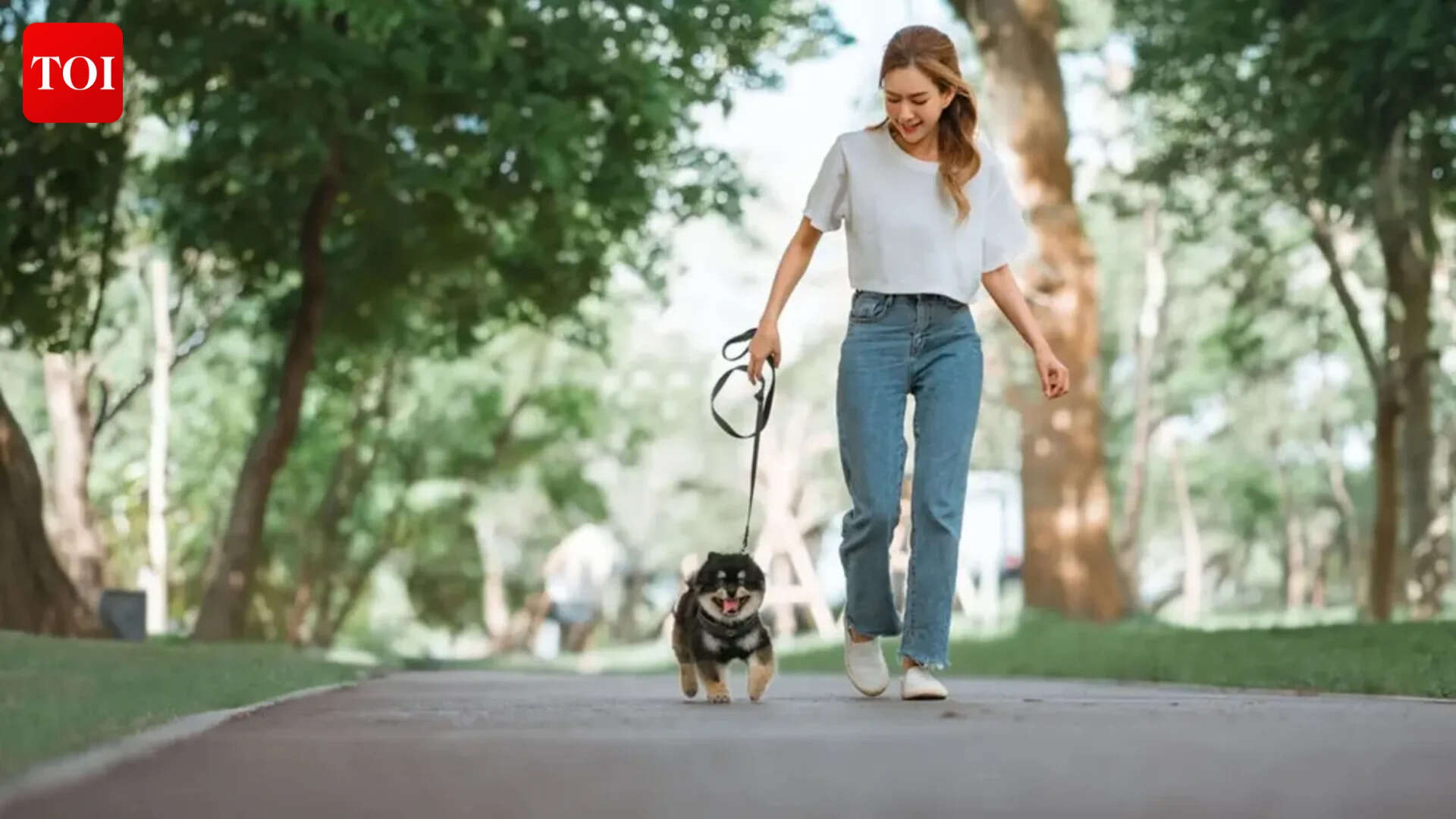 Micro walks, major benefits: Harvard expert explains why short walks ...