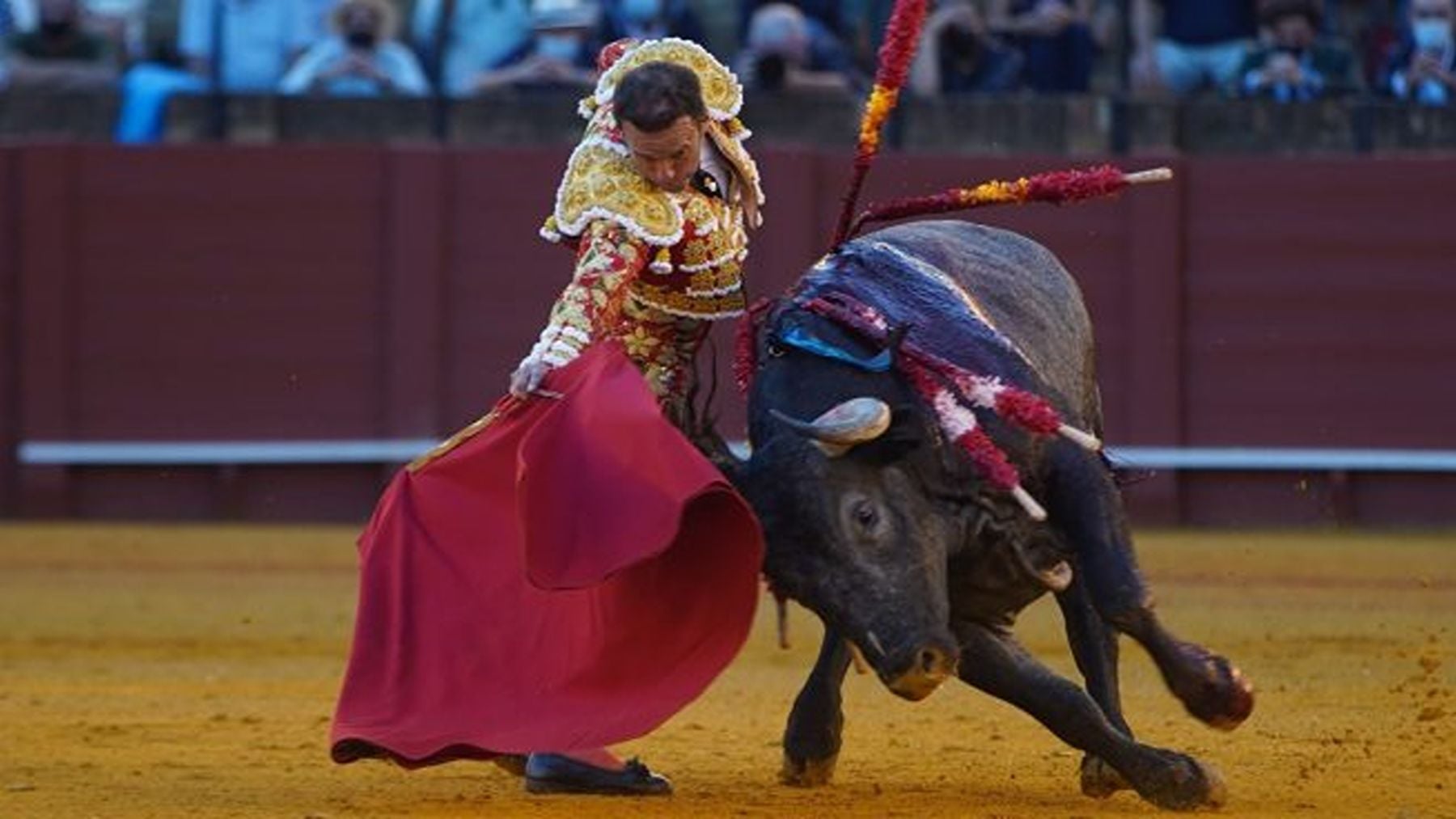 Horario y dónde ver la corrida de toros de Antonio Ferrera, Manuel ...