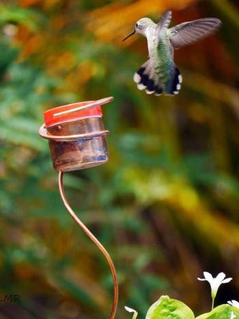 a hummingbird flying towards the feeder sticking out of a flower pot