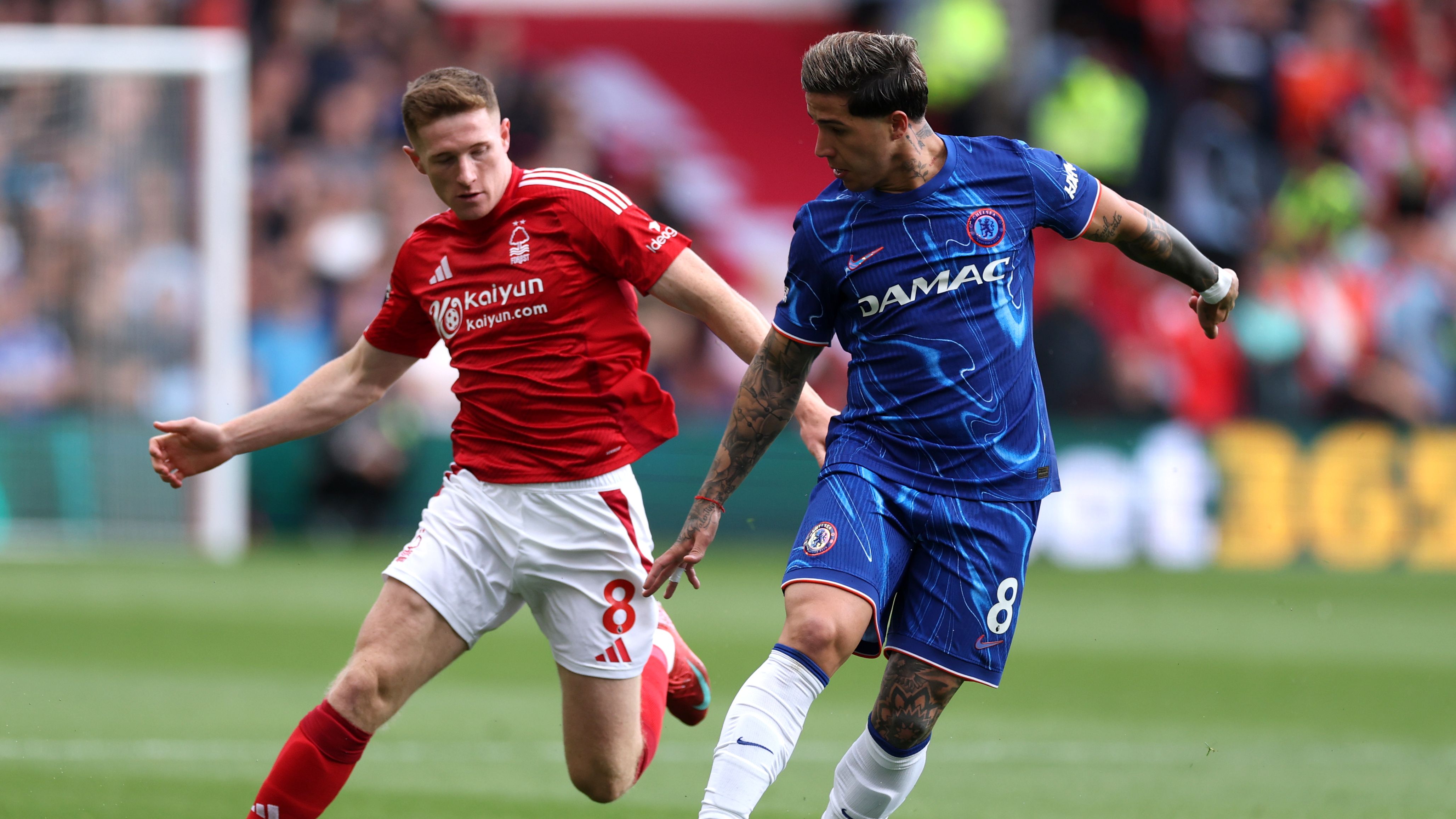 Apakah Enzo Fernandez merupakan alternatif transfer Elliot Anderson ...