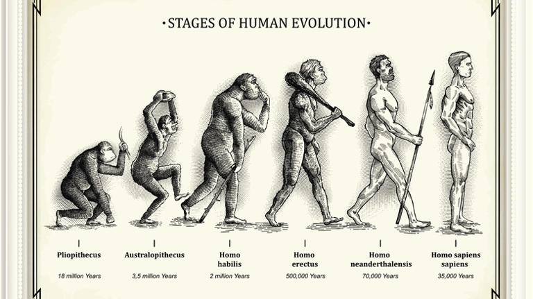 Mystery or myth: Did human beings evolve from apes?