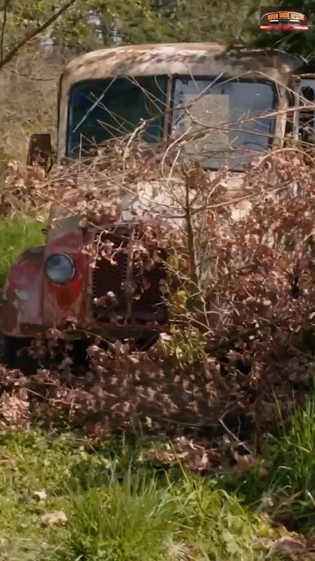 Would you pay $10K for this vintage truck?