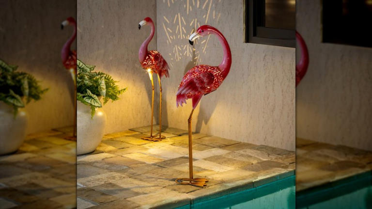Goodbye dark & boring backyards: Costco's solar solution makes lighting fun