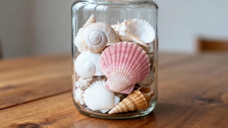 Use old seashells to create budget-friendly pavers with this easy DIY