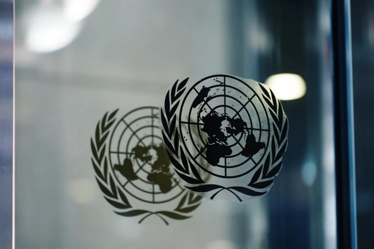 La ONU convocará una reunión de emergencia tras el avance de la ...