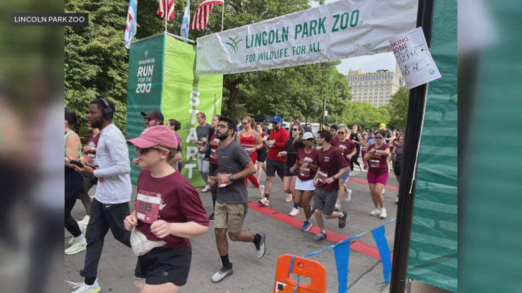 Runners raise more than $21,000 for Chicago's Lincoln Park Zoo