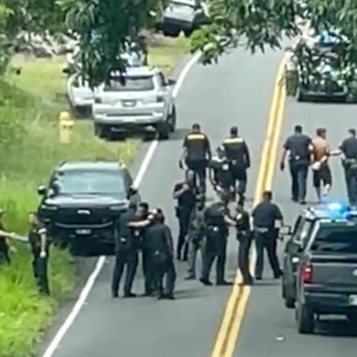 Suspect accused of killing 3 elderly men in Hawaii charged with murder