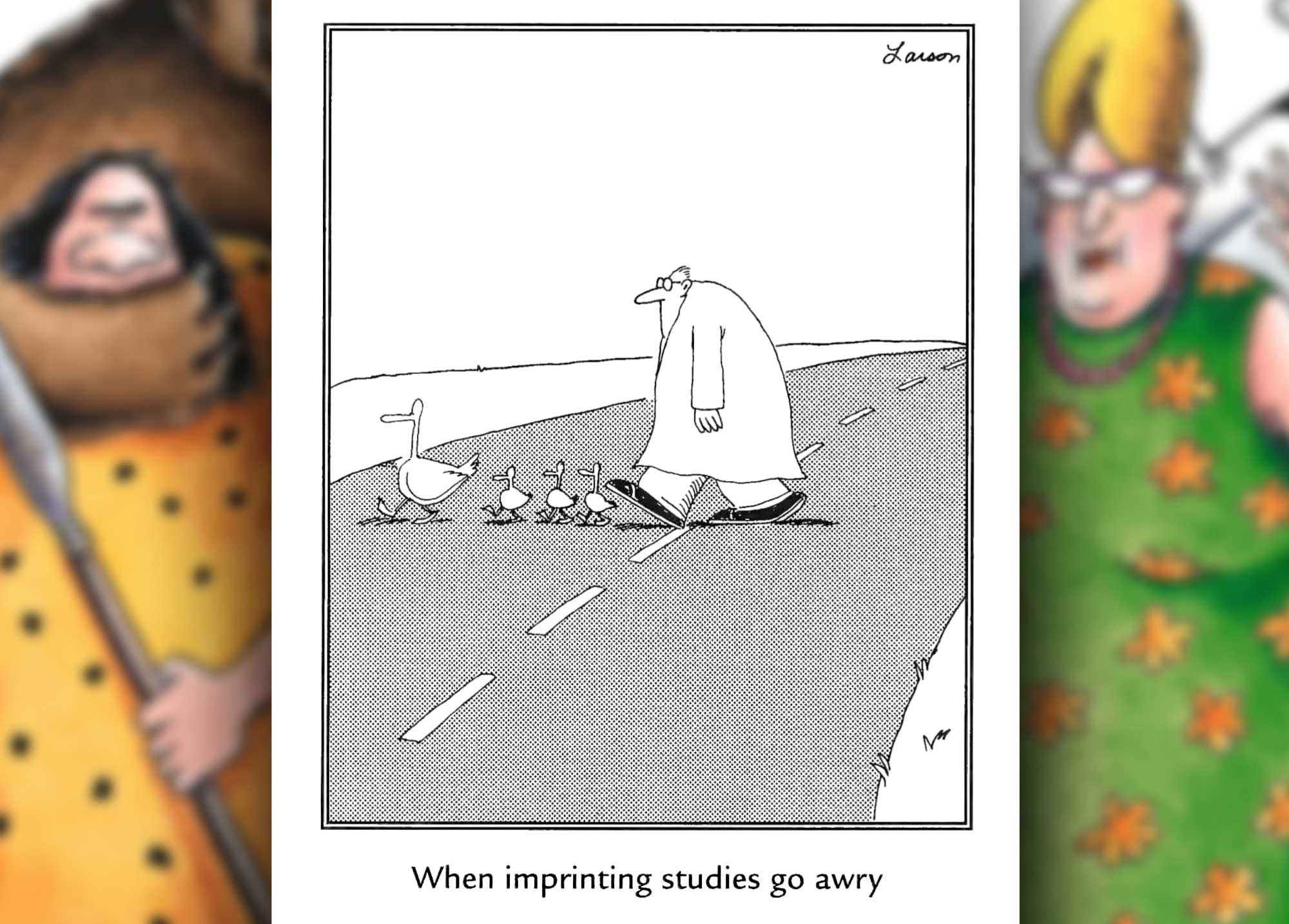 far side imprinting studies comic