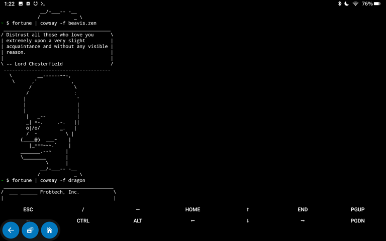 I turned my modded Fire tablet into a working terminal — here's how and ...