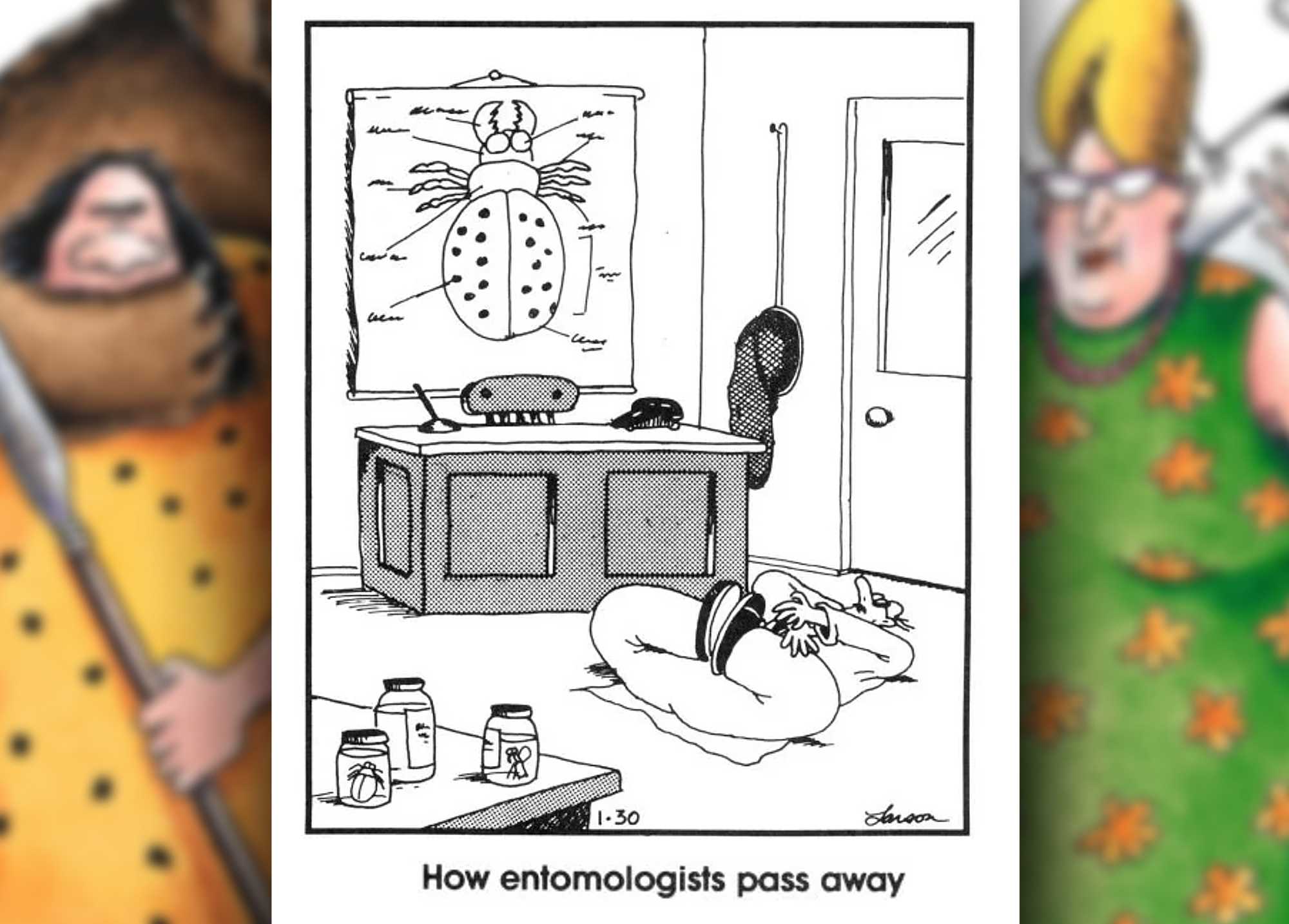 far side entomologist comic