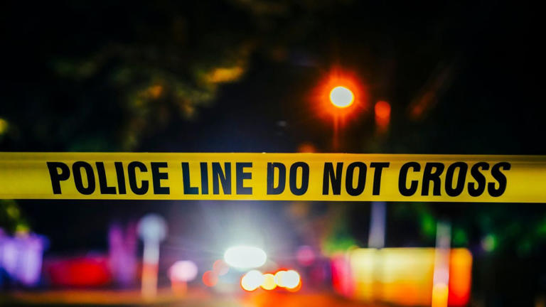 Chennai: Argument at bar escalates into road rage, woman killed as car ...