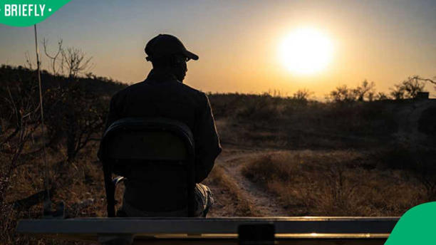 Kruger National Park. Image: Xavier Duvot Source: Getty Images