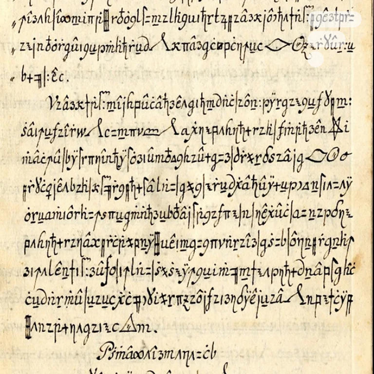 Une IA décode un manuscrit secret en 29 minutes : la fin d’un mystère ...