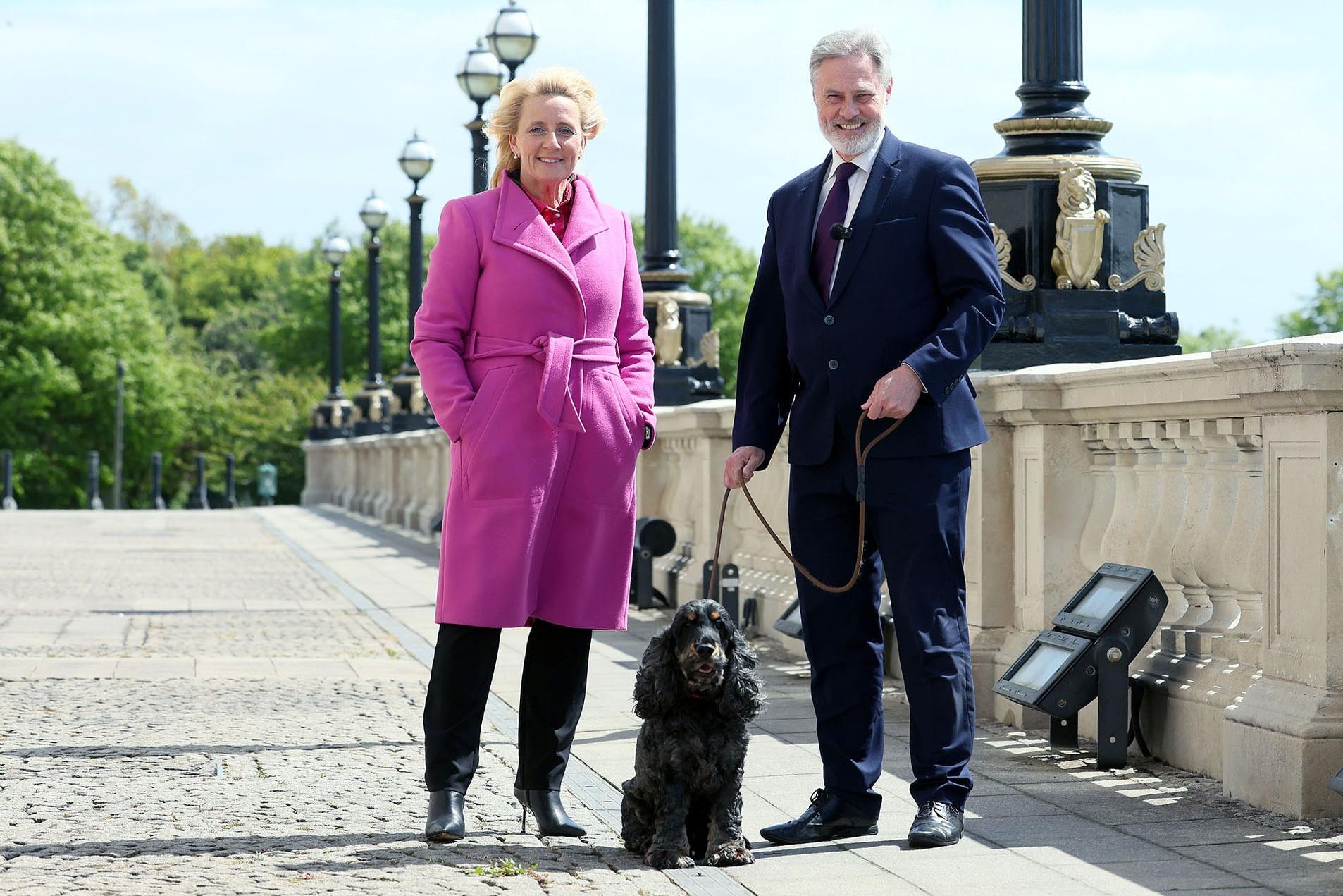 Causeway Coast Dog Rescue welcomes Stormont debate on link between ...