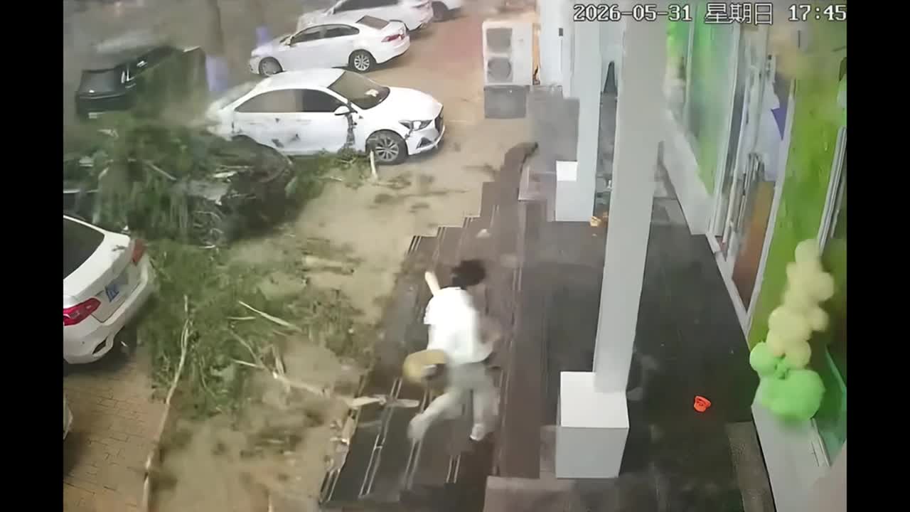 Woman almost crushed by falling tree as strong winds batter Chinese city