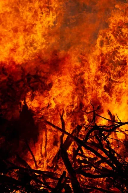 The Urgency for Policy and Climate Action