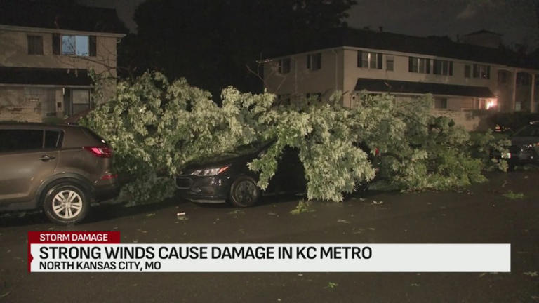 Photos: Strong overnight storms cause damage across Kansas City area