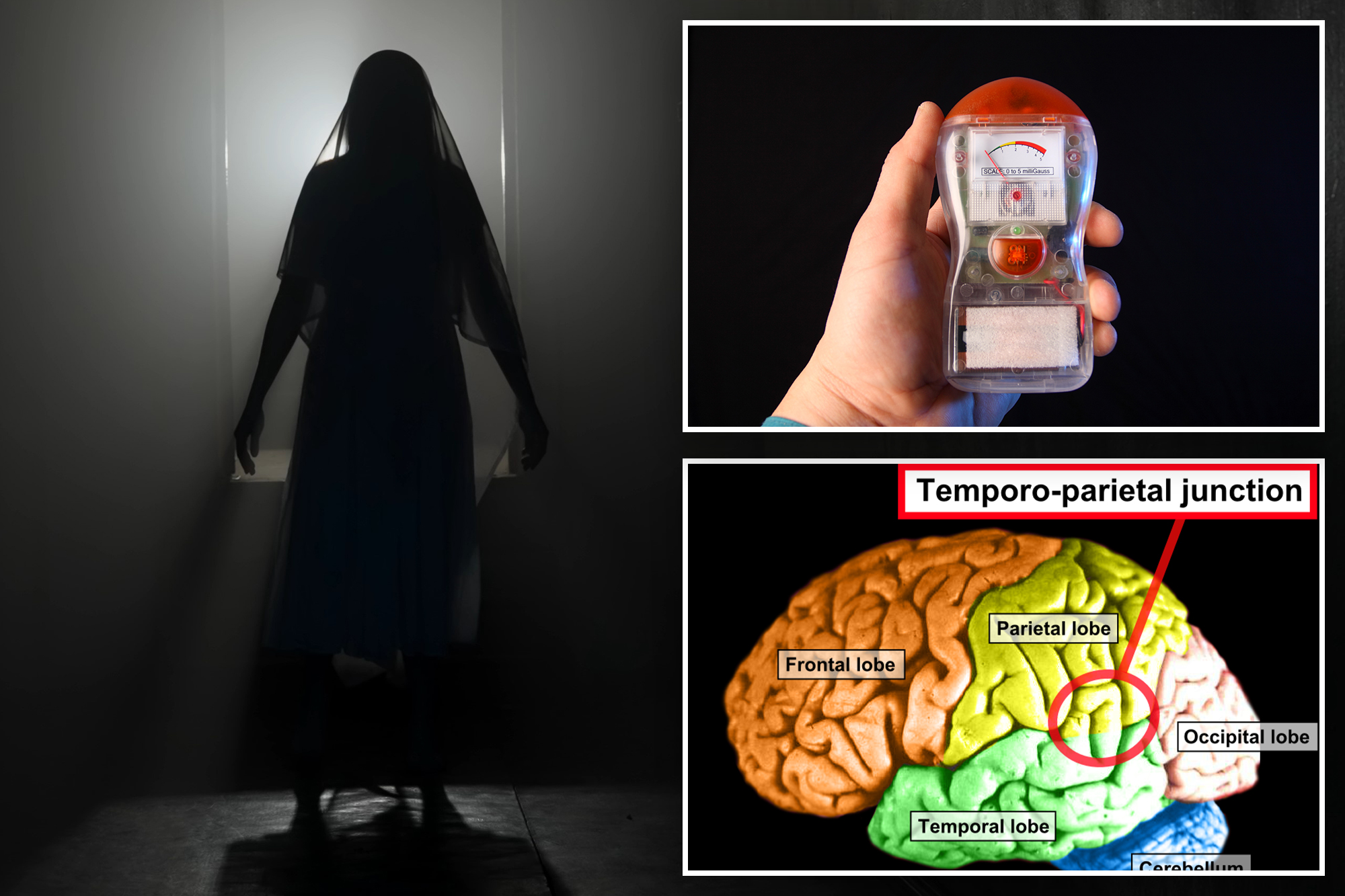 Scientist reveals 3 psychological factors that make believers more ...