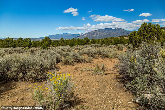 First missing scientist is found dead as bizarre circumstances of her death are revealed