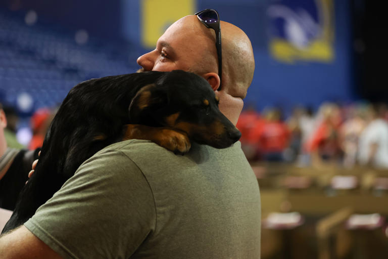 Over 1,000 pets will be looking for homes at mega adoption event in ...
