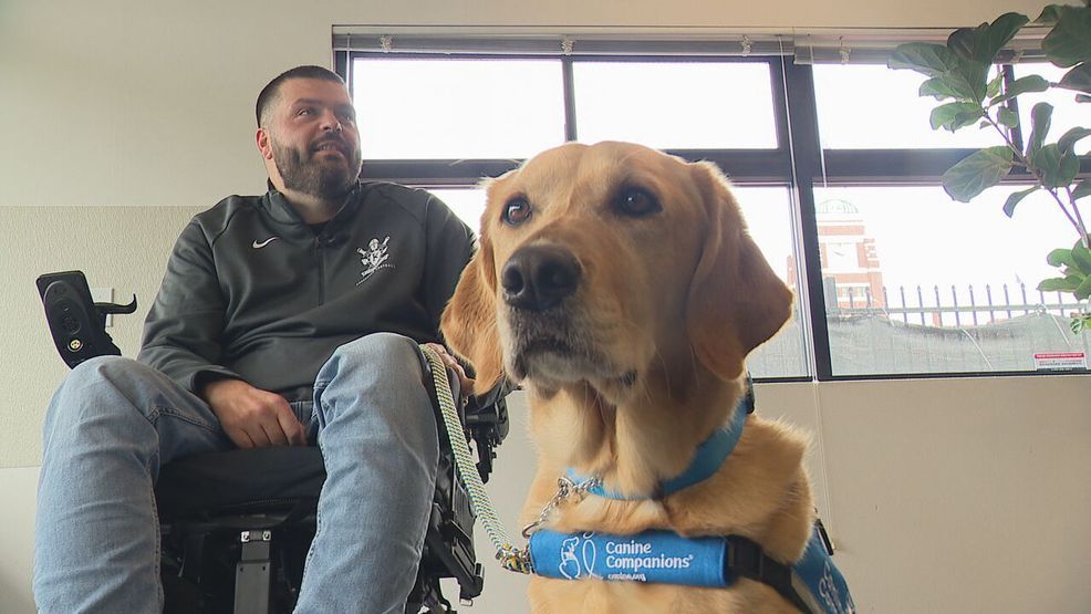 Critical need for puppy raisers to get service dogs to recipients faster